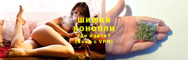 сатива Карабаш