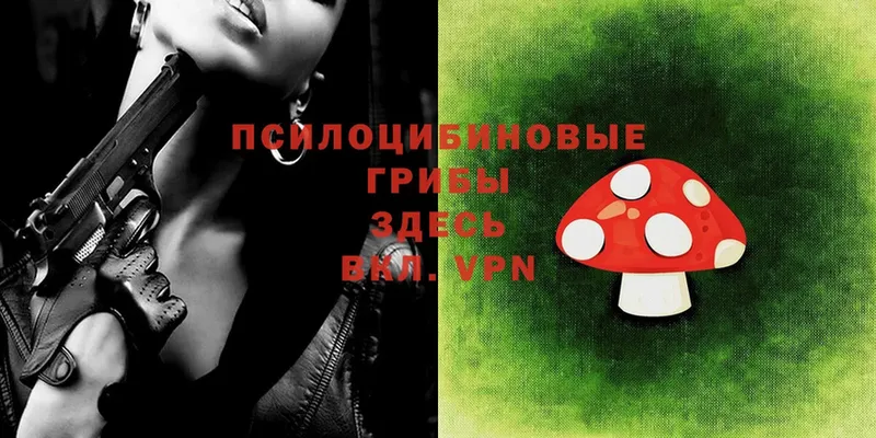 OMG ссылка  darknet формула  Псилоцибиновые грибы Cubensis  Абаза 