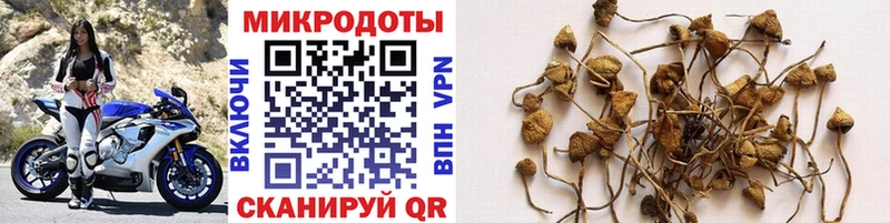 Галлюциногенные грибы прущие грибы наркошоп Абаза