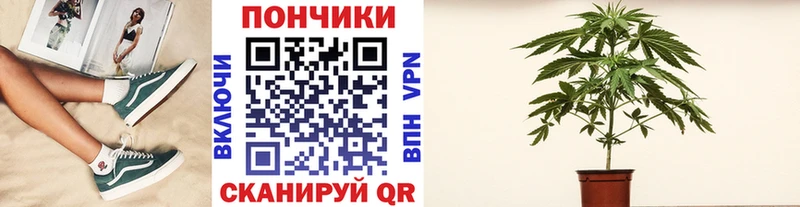 Марихуана марихуана  площадка состав  Абаза 